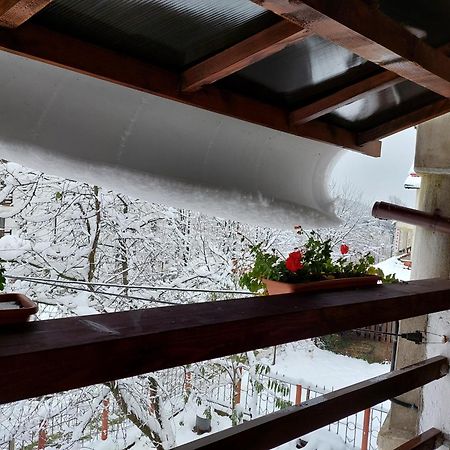 Holiday House Valiug Luaran gambar