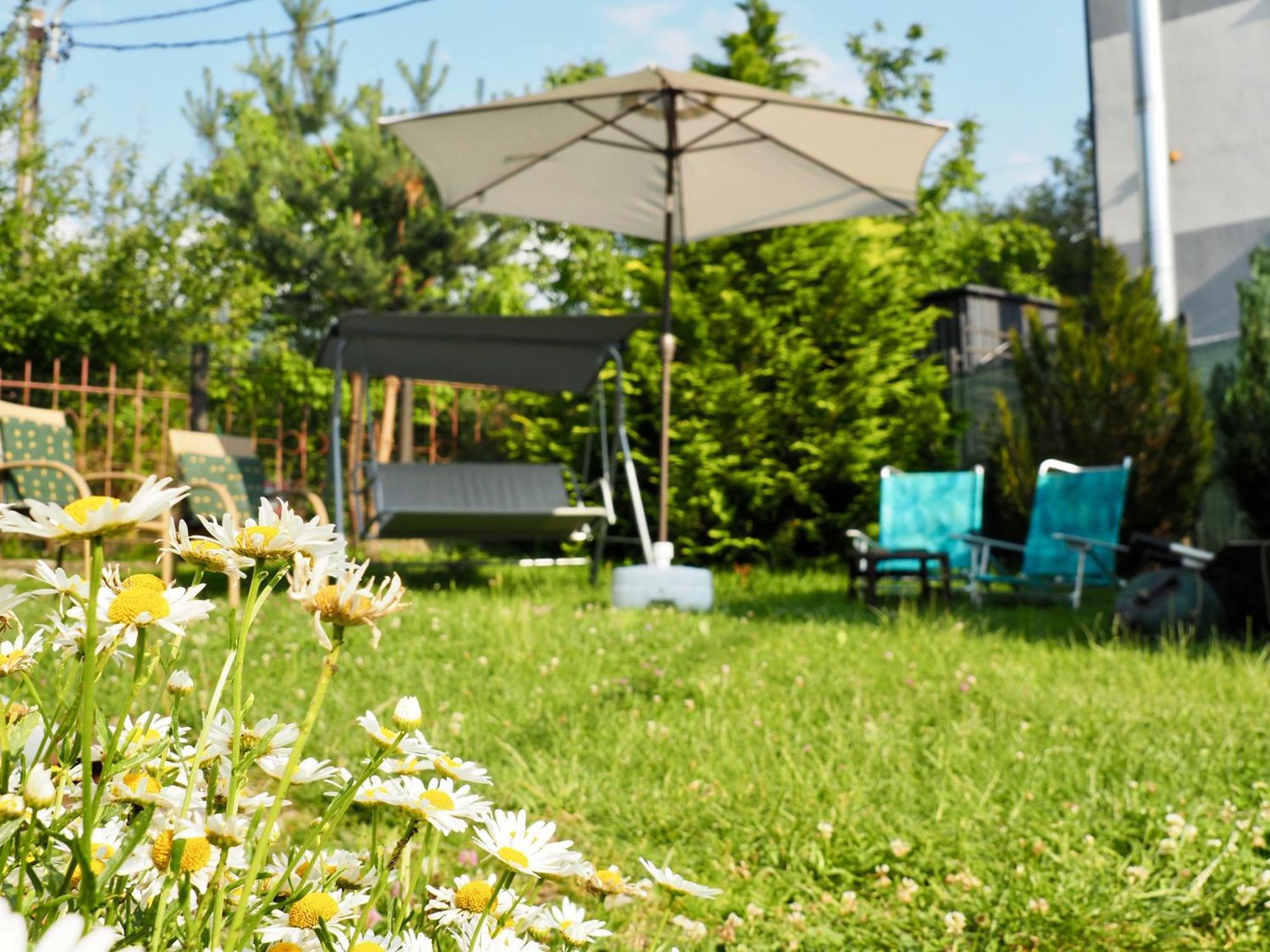 Holiday House Valiug Luaran gambar